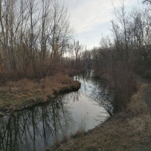 Tag & Nacht an der Donau