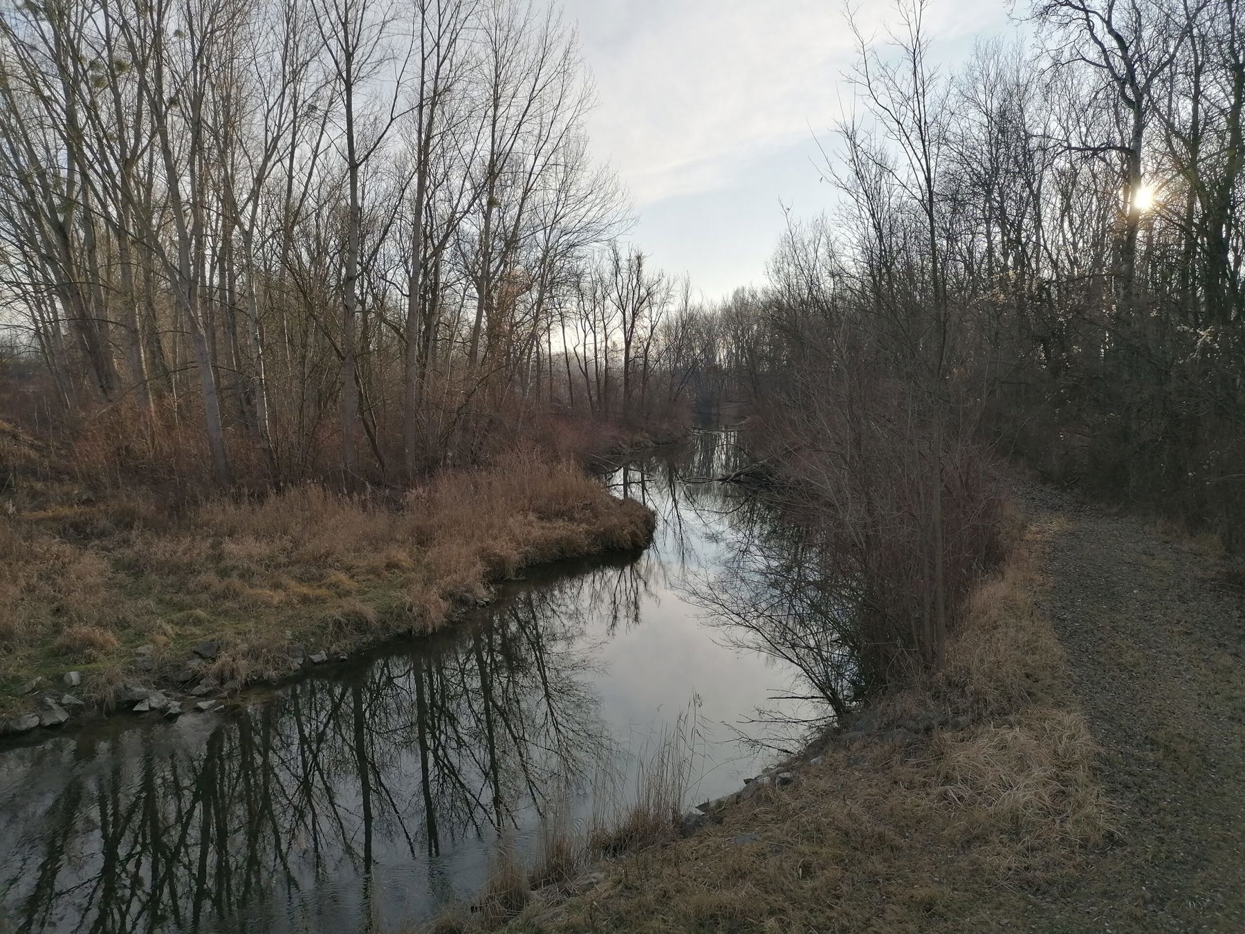 Tag & Nacht an der Donau