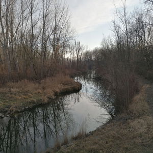 Tag & Nacht an der Donau