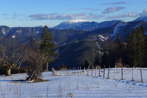 Bei der Karnerhofspitze Blick zum Schneeberg. Foto: Alpenverein Edelweiss