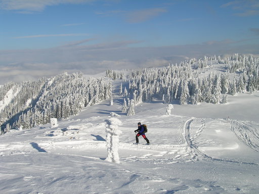 Beim Annaberger Haus. Foto: Alpenverein Edelweiss