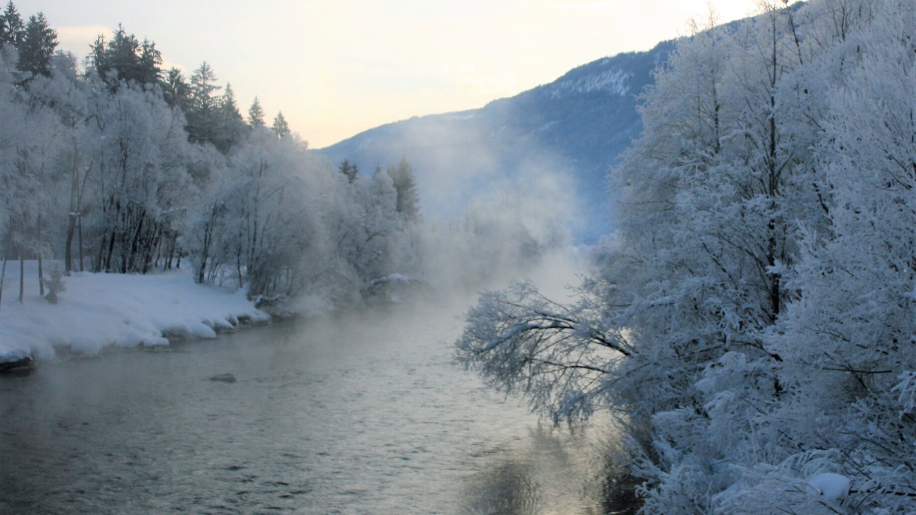Gail bei klirrender Kälte. Foto: Birgit Frank