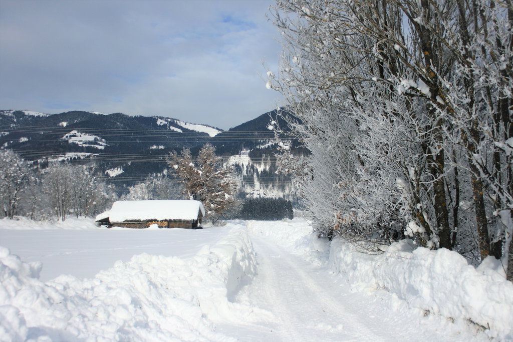 Panoramaloipe. Foto: Birgit Frank