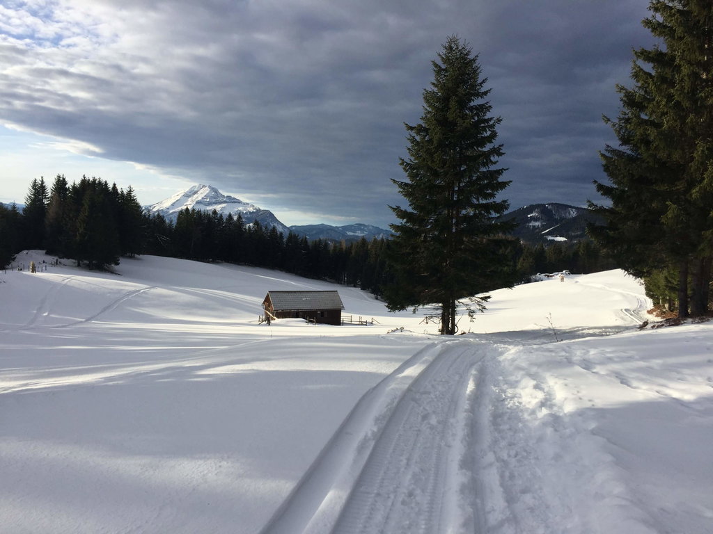 Hinter dem Scheiblingberg liegt eine idyllische Alm mit Blick auf den Ötscher. Foto: Petra Jens