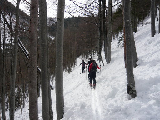 Querung ins Sterngassl. Foto: Alpenverein Edelweiss