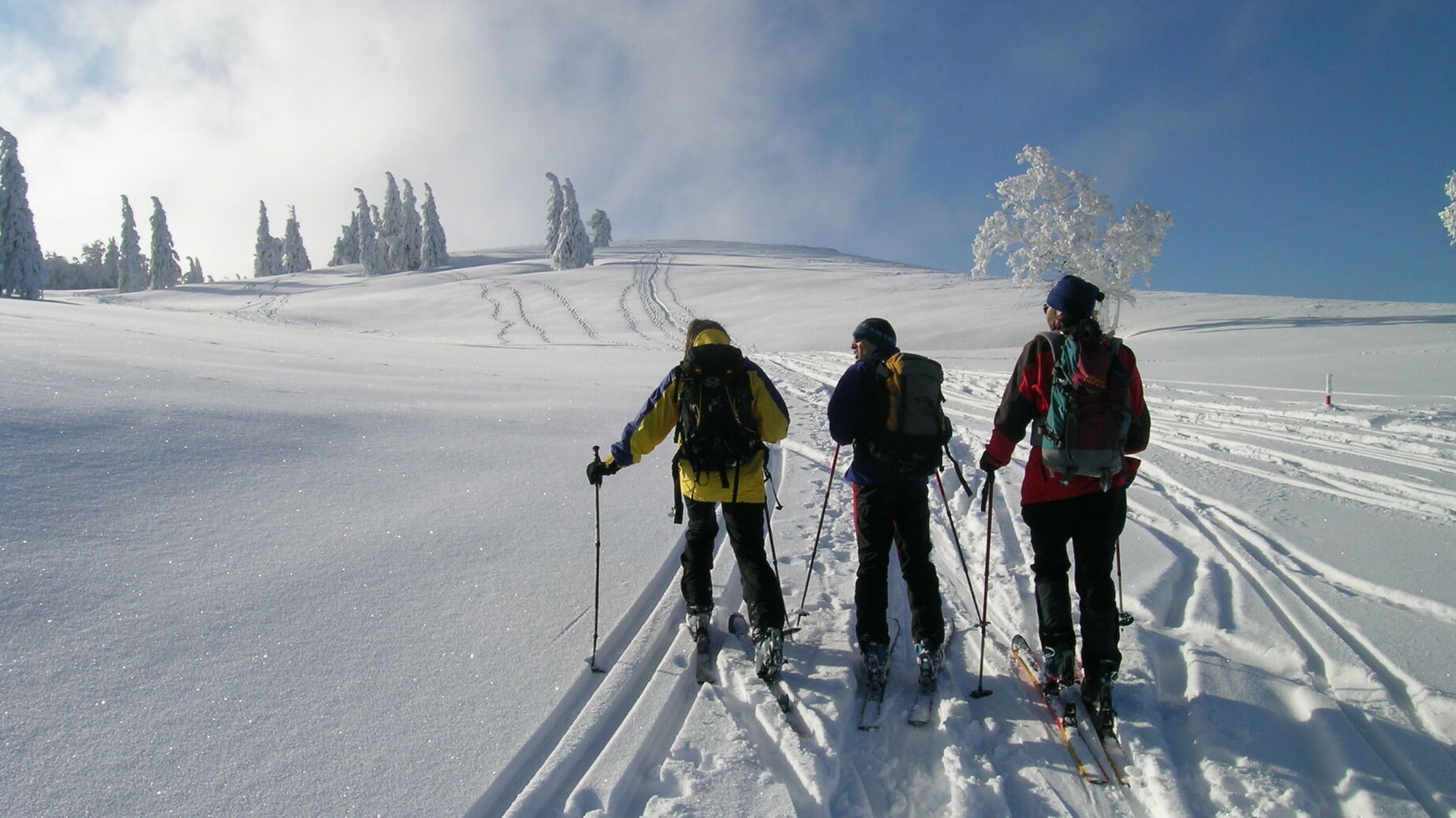 Unterwegs auf der Hochfläche. Foto: Alpenverein Edelweiss