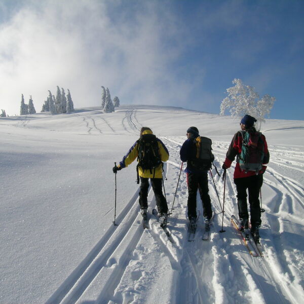 Unterwegs auf der Hochfläche. Foto: Alpenverein Edelweiss