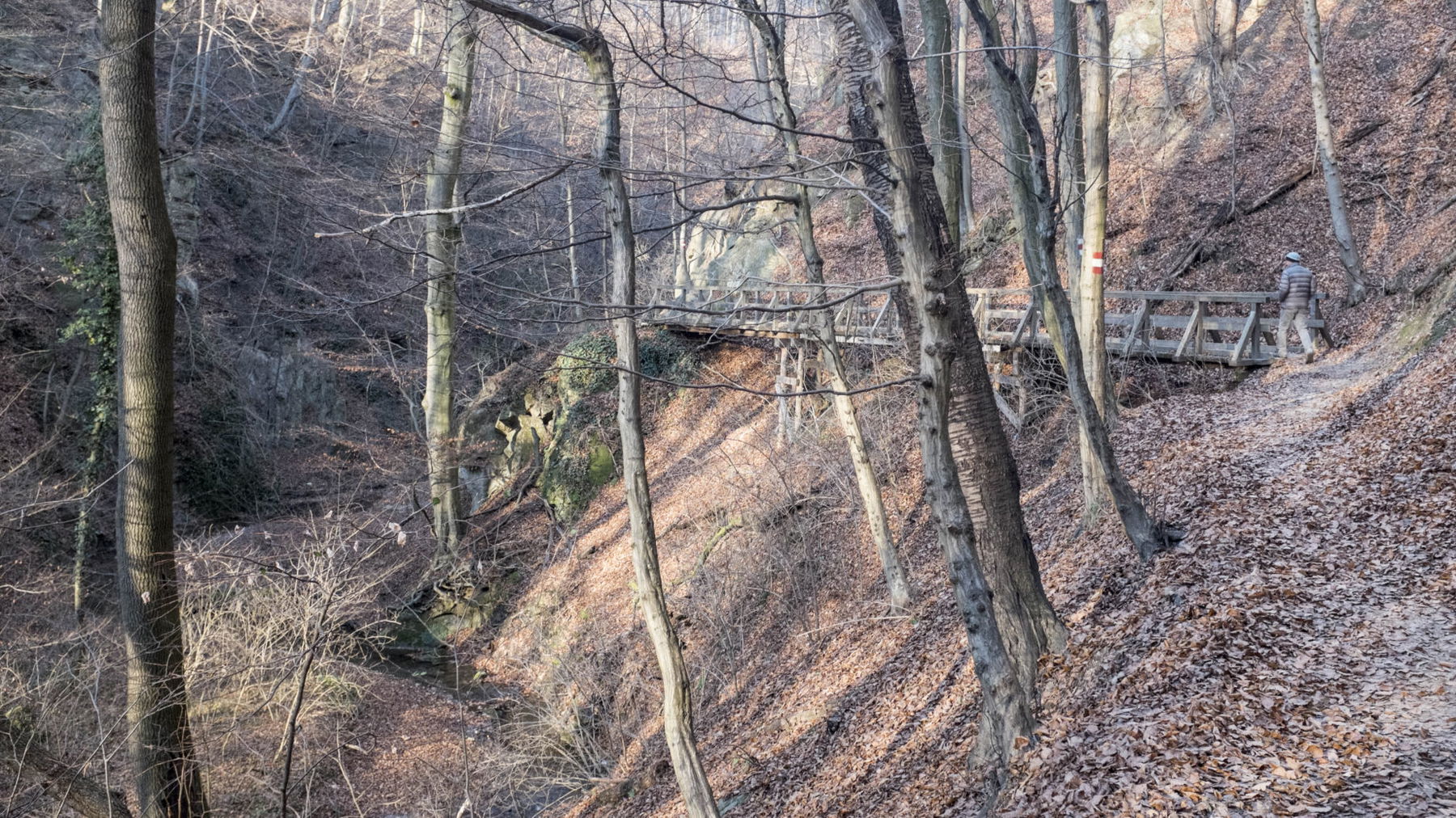 Durch die Hagenbachklamm. Foto: Birgit Reiter