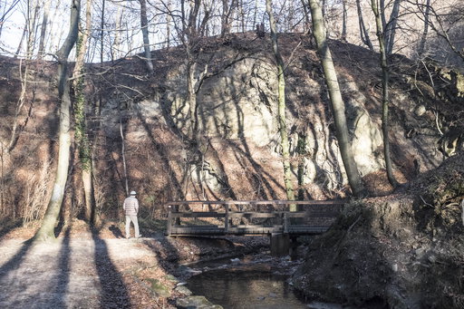 Herrliches Nachmittagslicht in der Hagenbachklamm. Foto: Birgit Reiter