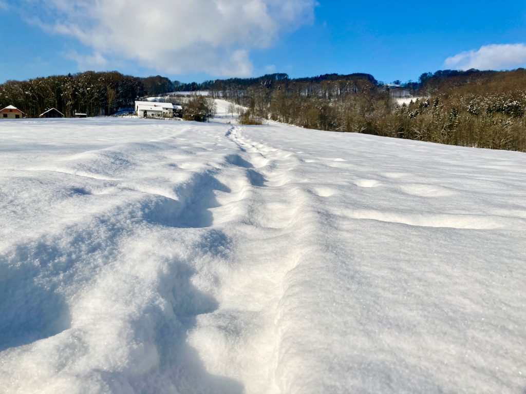 Schneeschuhwandern hinterlässt Eindrücke. Foto: Stefan Hochhold