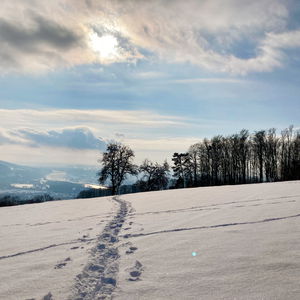 Mit Schneeschuhen zum höchsten Punkt von Linz