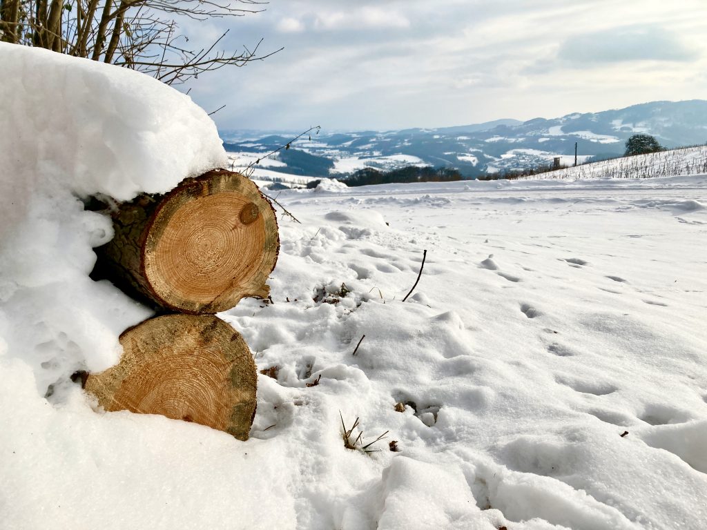 Es duftet nach Holz. Foto: Stefan Hochhold
