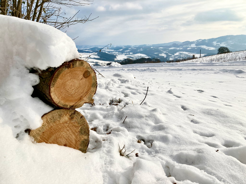 Es duftet nach Holz. Foto: Stefan Hochhold