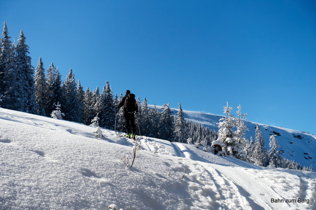 Hier ist der Wind noch nicht so stark Foto: Martin Heppner