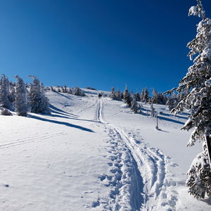 Geht der Kaltenbachgraben?