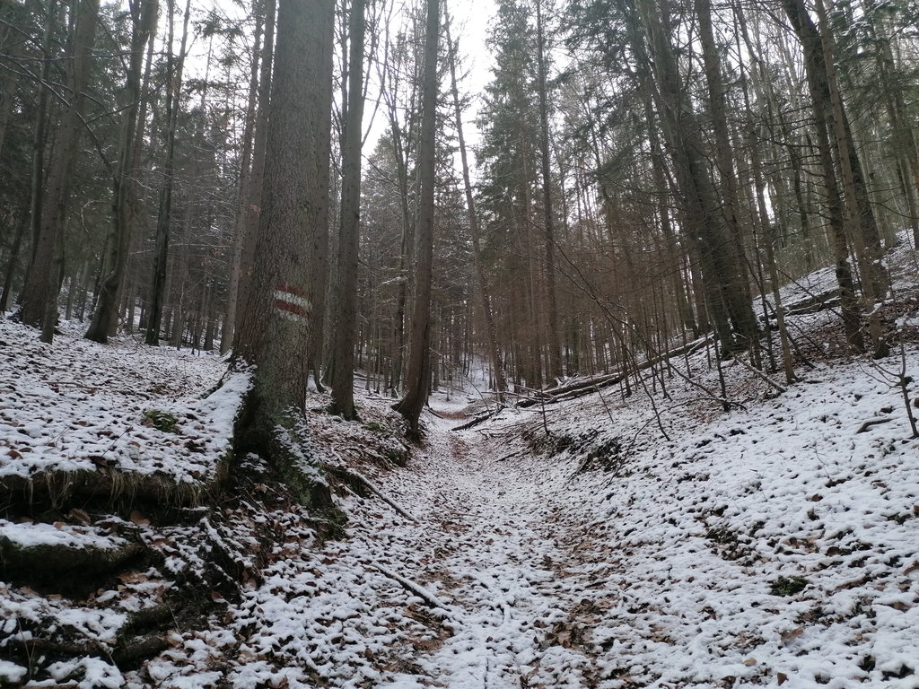 Aufstieg zwischen Eichberg und Seekogel. Foto: Peter Ofner