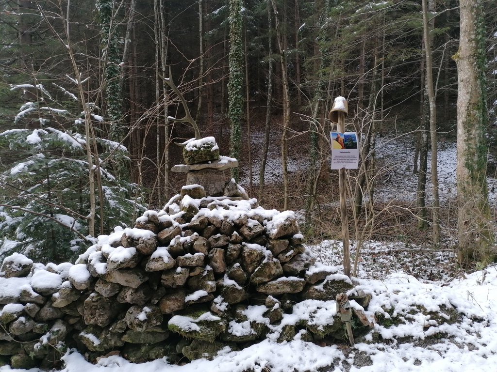 Eines der Geheimnisse im Seegraben. Foto: Peter Ofner