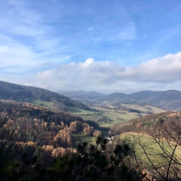 Blick ins Land von der Ruine Arnstein
