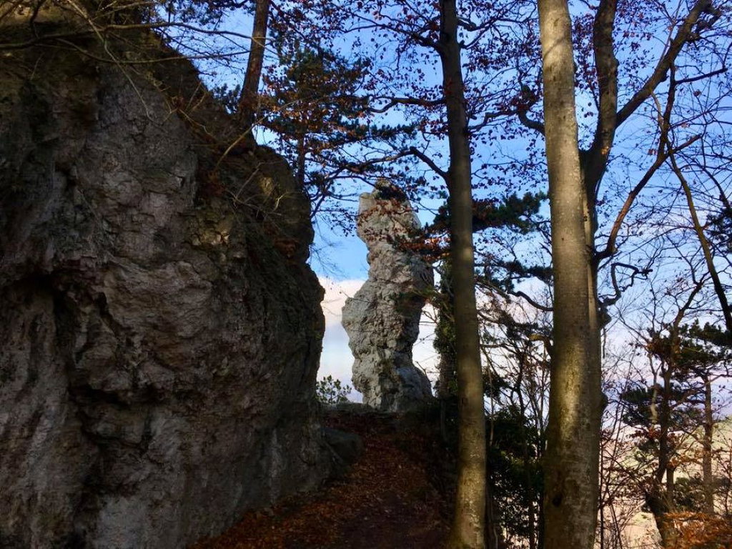 Arnsteinnadel. Foto Veronika Schöll