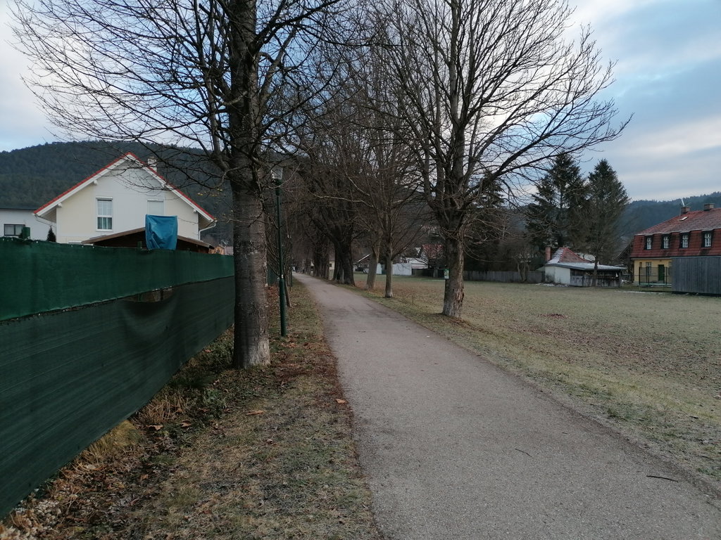 Die Singer-Allee. Foto: Peter Ofner