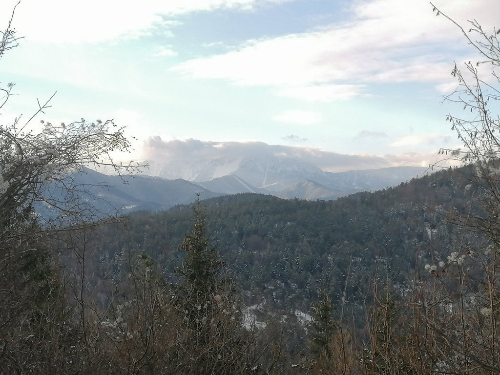 Aussicht auf den Schneeberg. Foto: Peter Ofner
