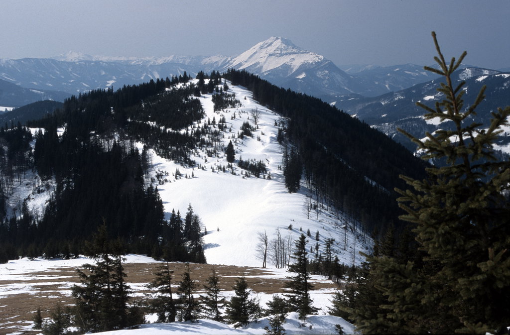Blick vom Annaberger Haus zum Ötscher. Foto: Alpenverein Edelweiss