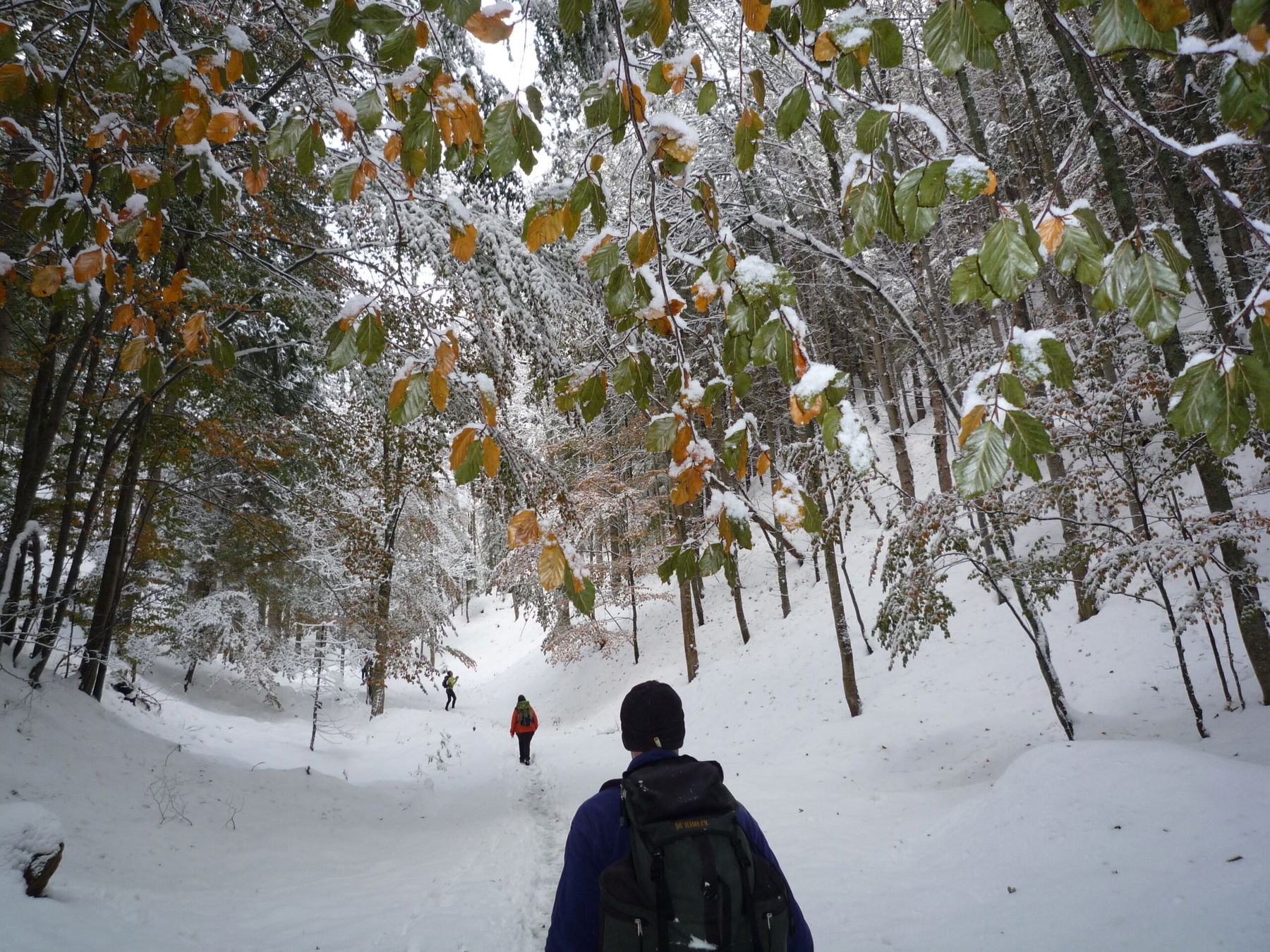 Durch die Eng auf die Knofeleben