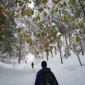 Durch die Eng auf die Knofeleben