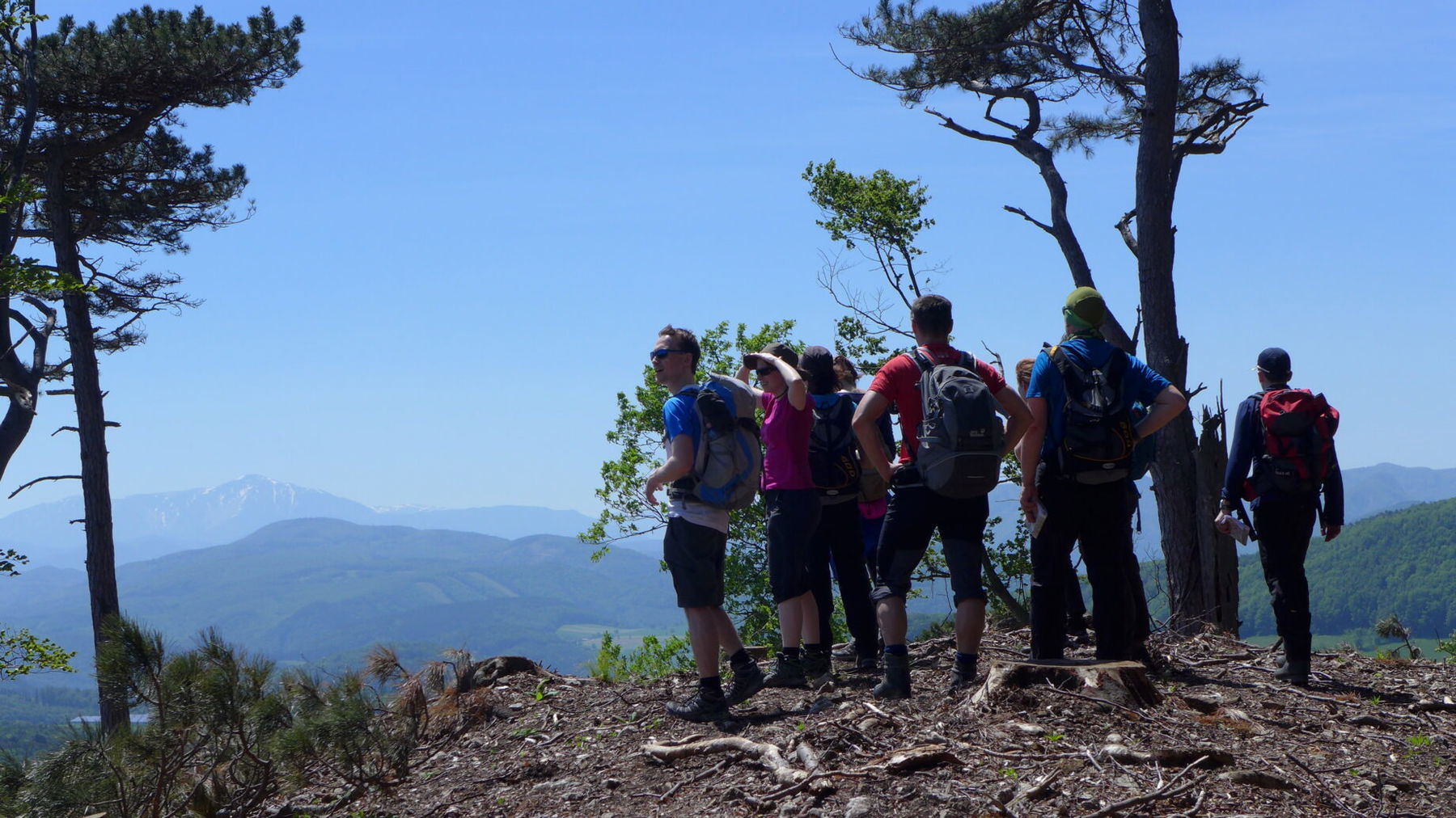 Unterwegs zum Lindkogel - Blick zum Schneeberg. Foto: Alpenverein Edelweiss