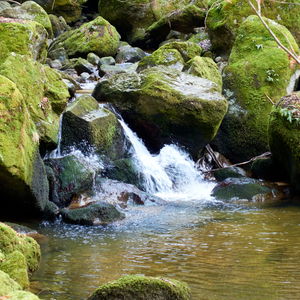 Vorfrühlingstour Stillensteinklamm