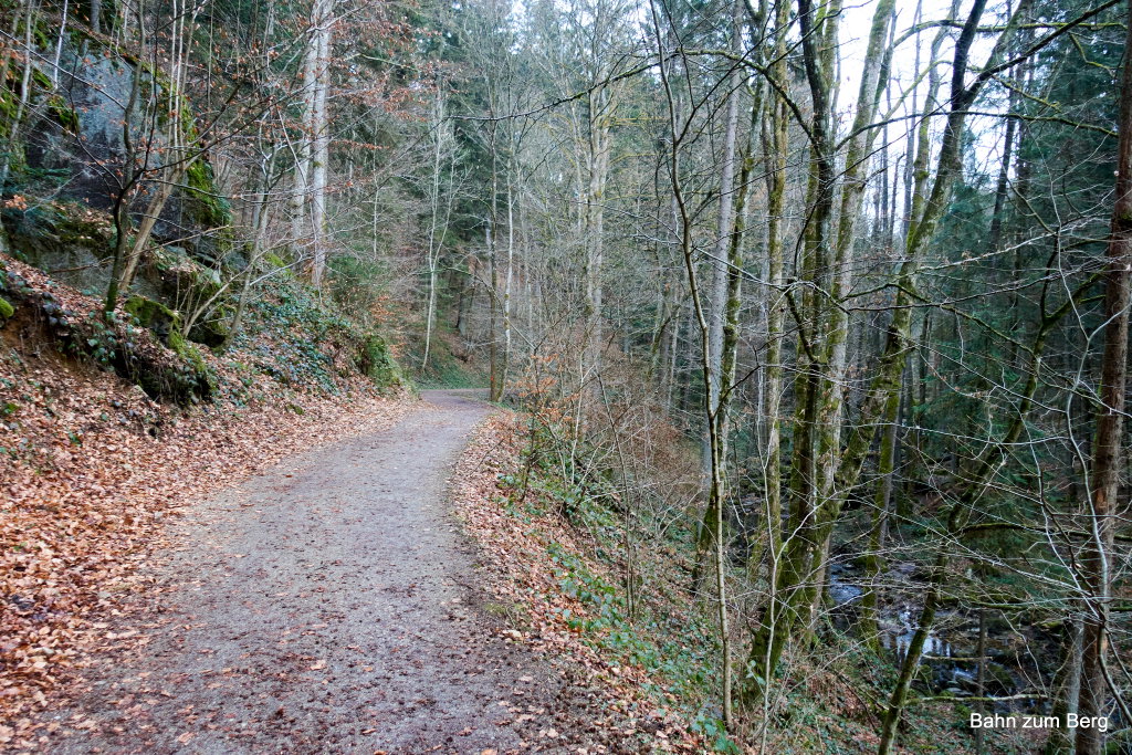 Nach der Klamm führt ein Forstweg zur Aumühle. Foto: Martin Heppner
