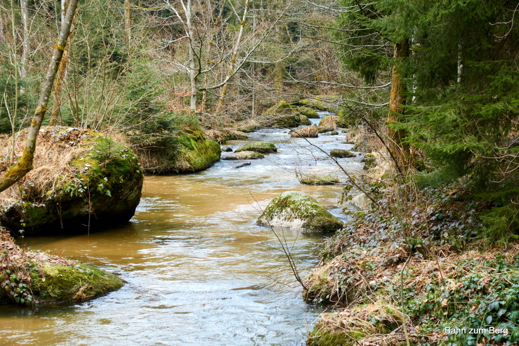 Gießenbach. Foto: Martin Heppner