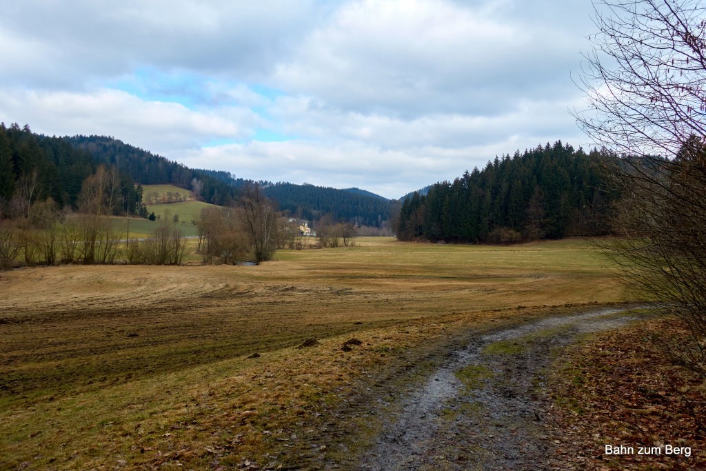 Wiese vor der Aumühle. Foto: Martin Heppner