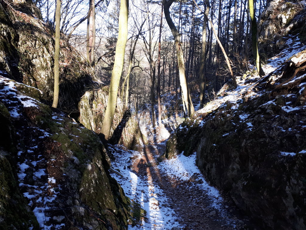 In der Wolfsschlucht. Foto: Gerold Petritsch