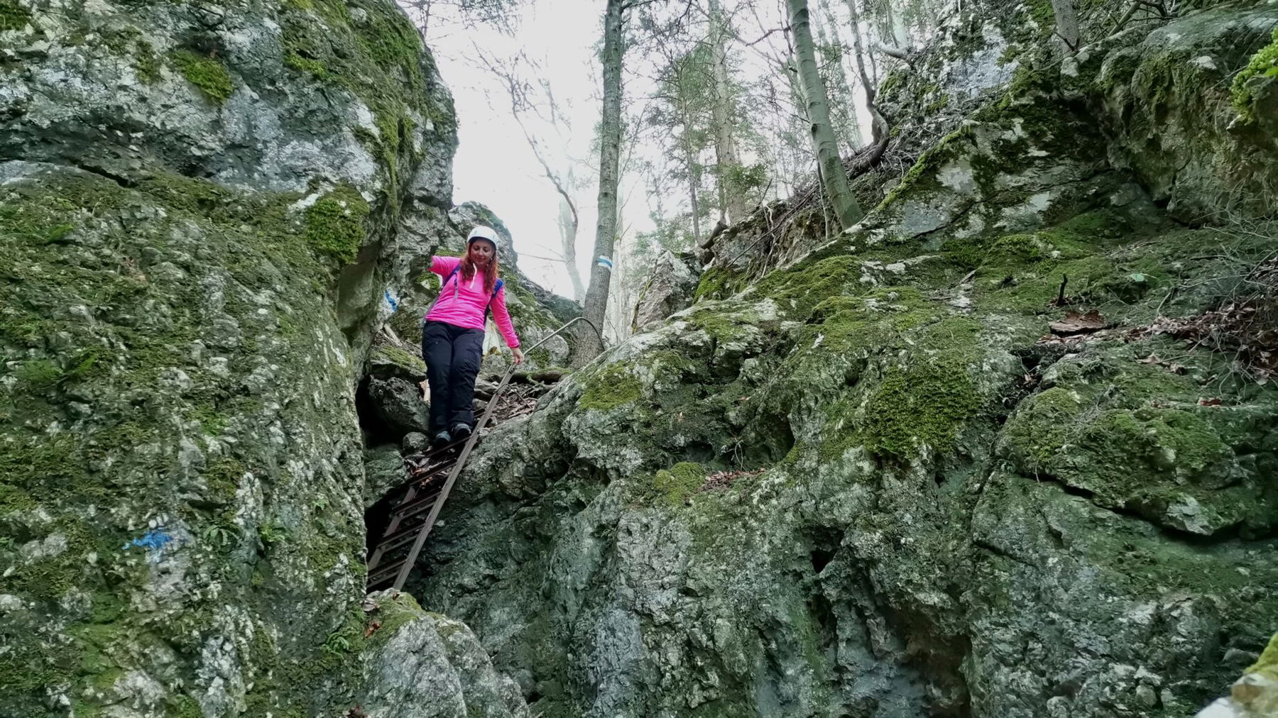 Waldeggersteig Foto Veronika Schöll