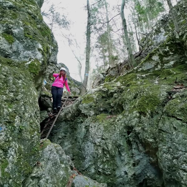 Waldeggersteig Foto Veronika Schöll