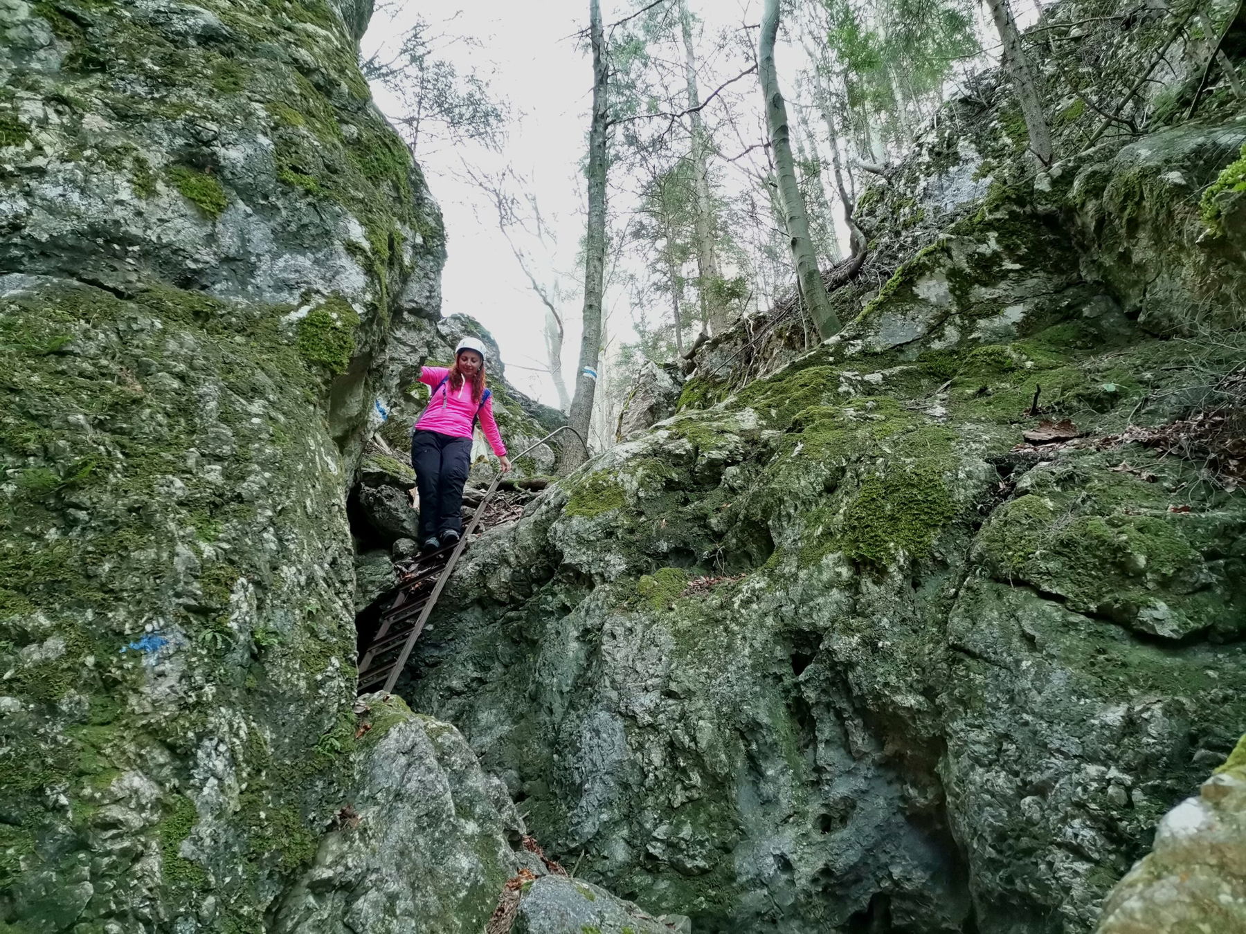 Einfach auf die Hohe Wand, über den  Drobilsteig