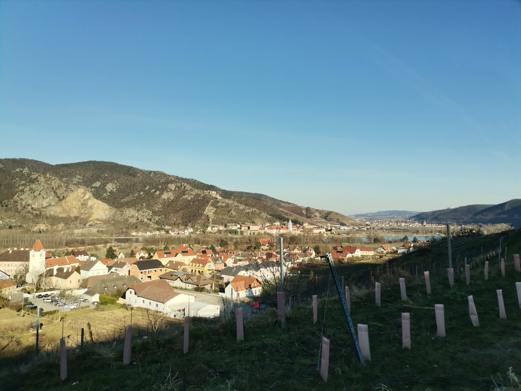 Sie haben ihr Ziel erreicht: Rossatz, gegenüber Dürnstein, Foto Veronika Schöll