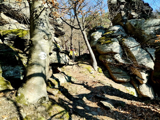 Steinerne Rieß, Fotos Krisztina Grünzeis