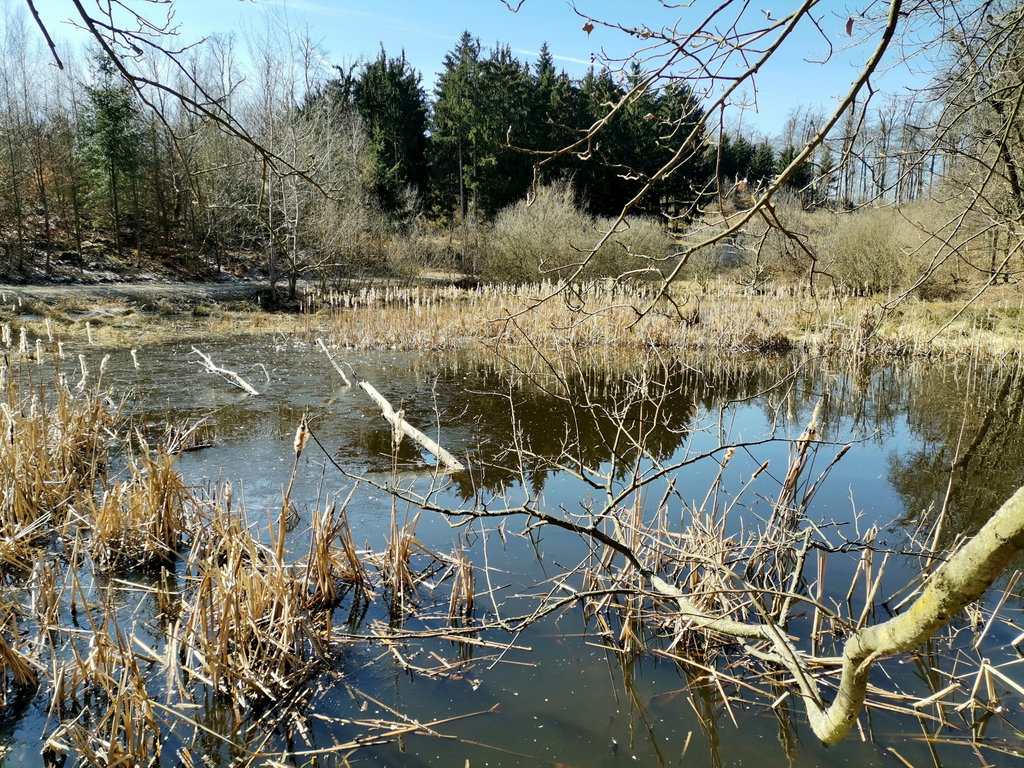 Am und im Rührsdorfer See, Fotos Krisztina Grünzeis