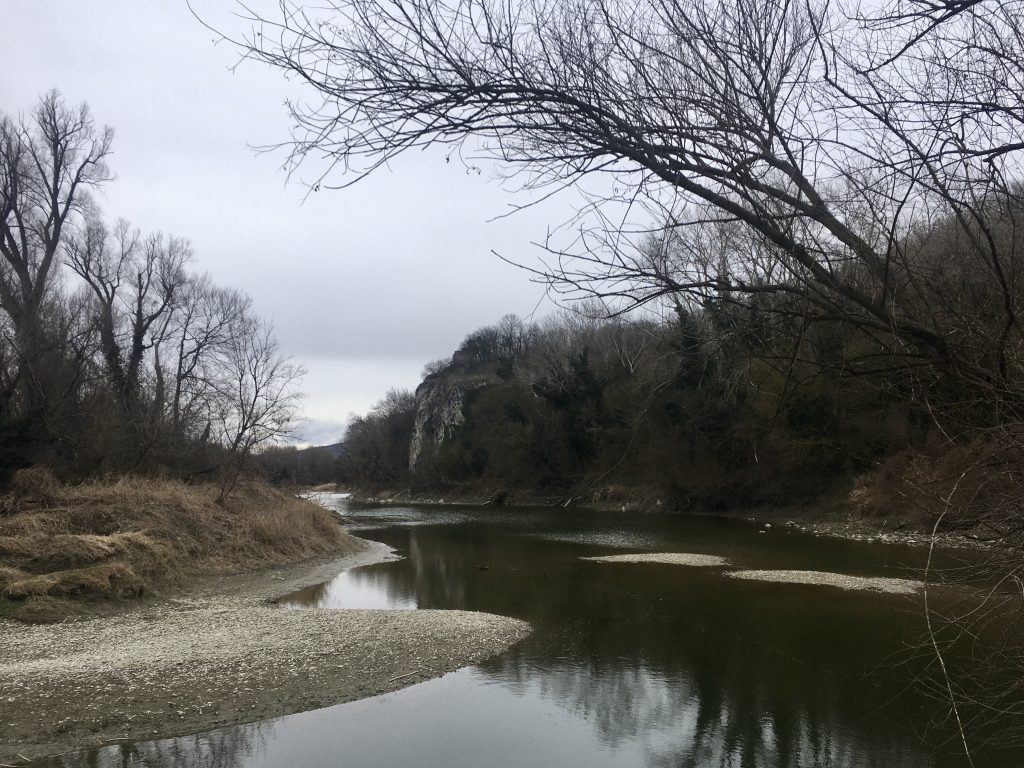 Donauauen und Ruine Röthelstein. Foto Veronika Schöll