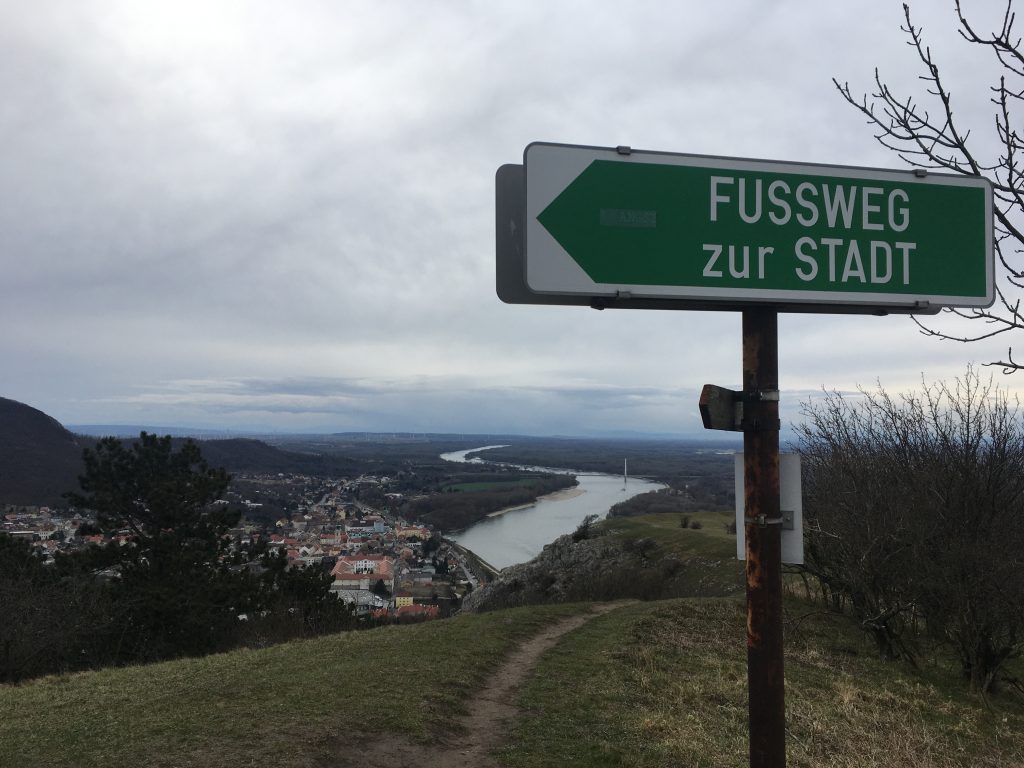 Hier wandere ich wieder vom Braunsberg hinunter in die Stadt. Foto Veronika Schöll