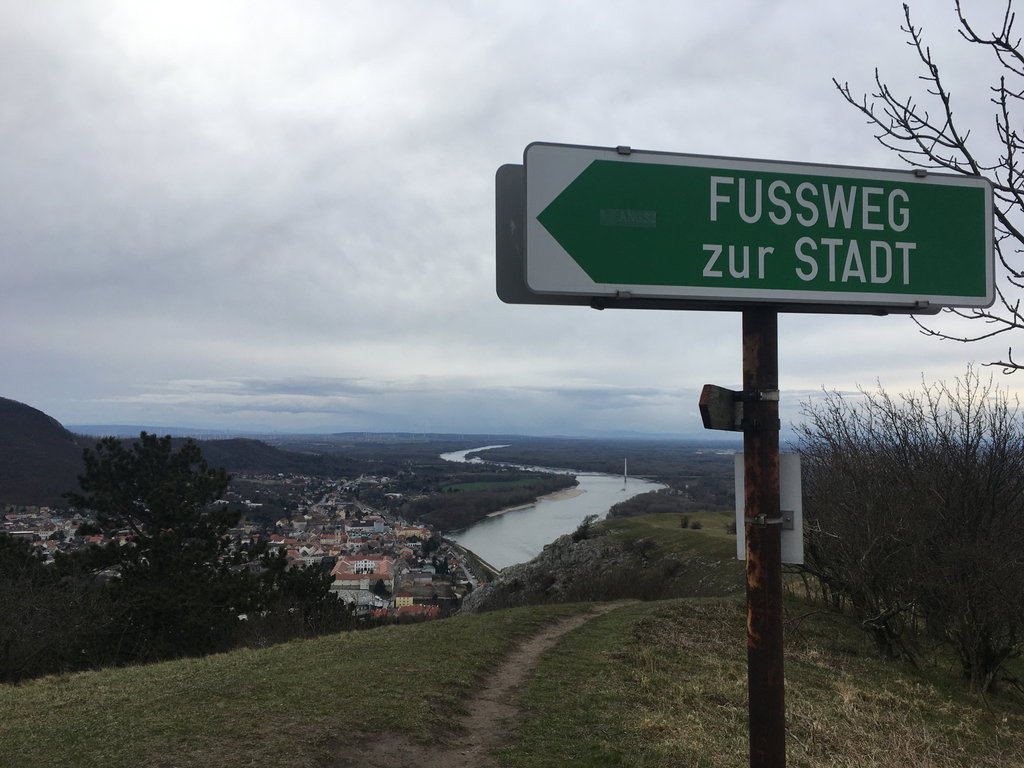 Hier wandere ich  wieder vom Braunsberg hinunter in die Stadt. Foto Veronika Schöll