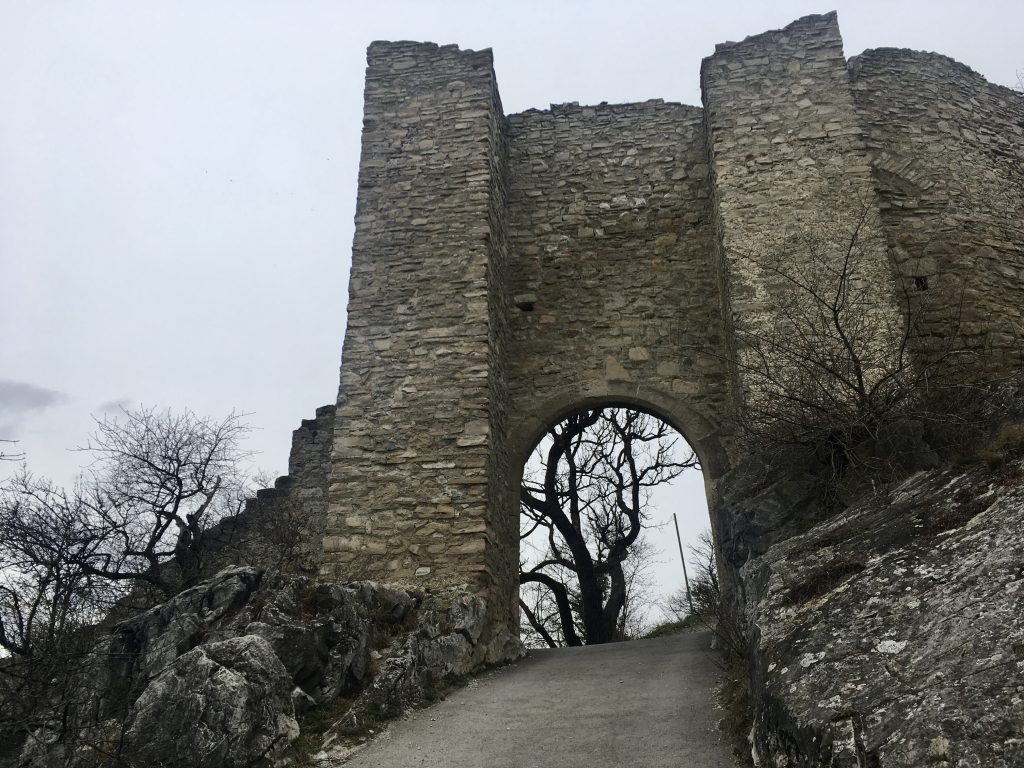 Haimoburg am Schlossberg. Veronika Schöll