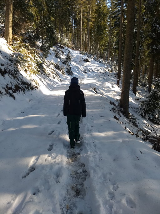 Weiter oben – Neuschnee vom Vortag. Foto: Nikolaus Vogl