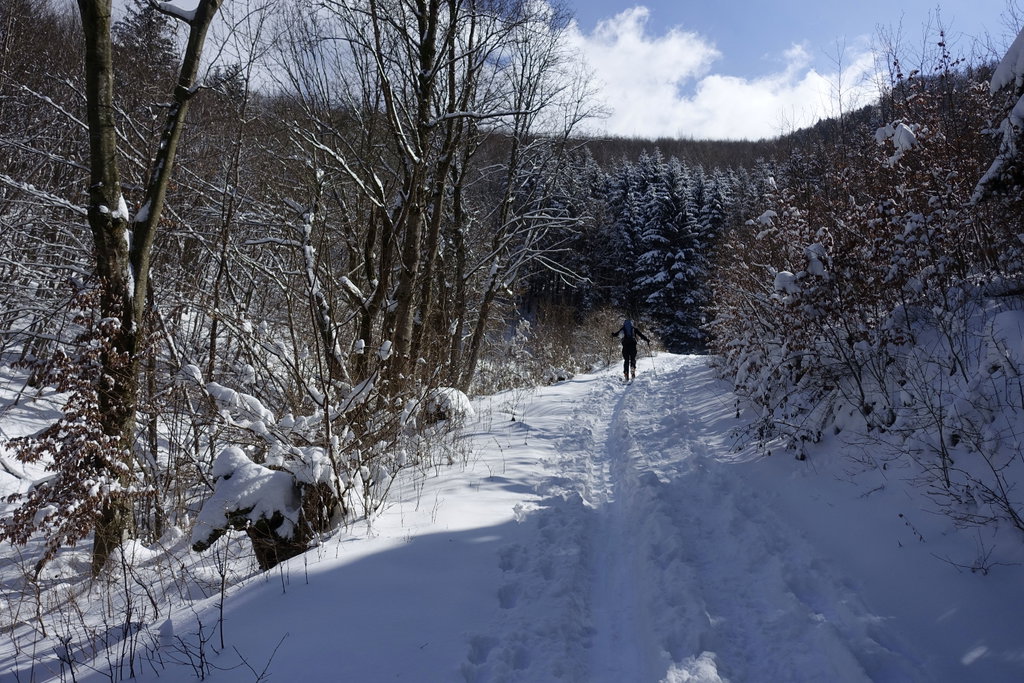 Durch das Stille Tal. Foto: Peter Backé