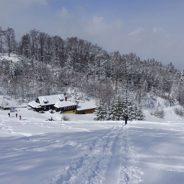 Skitour Muckenkogel