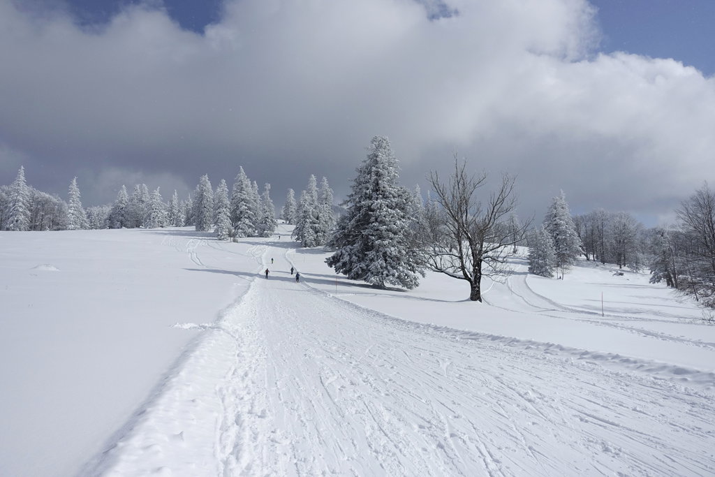 Zwischen Lilienfelder und Traisner Hütte ist die Strecke präpariert. Foto: Peter Backé