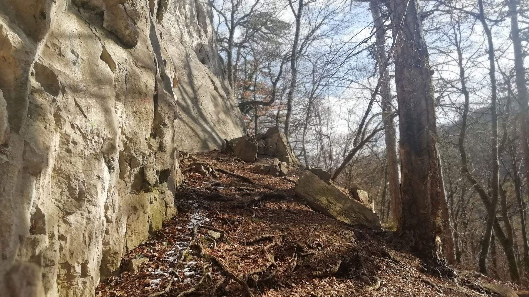 Badener Kletterschule. Foto: Simone Findeis