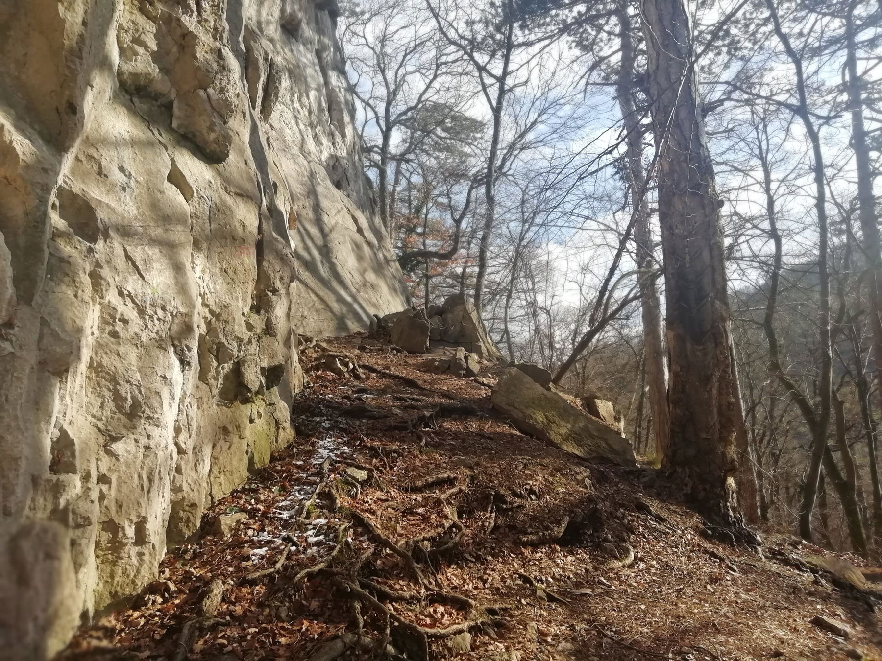 Klettergarten Badener Kletterschule